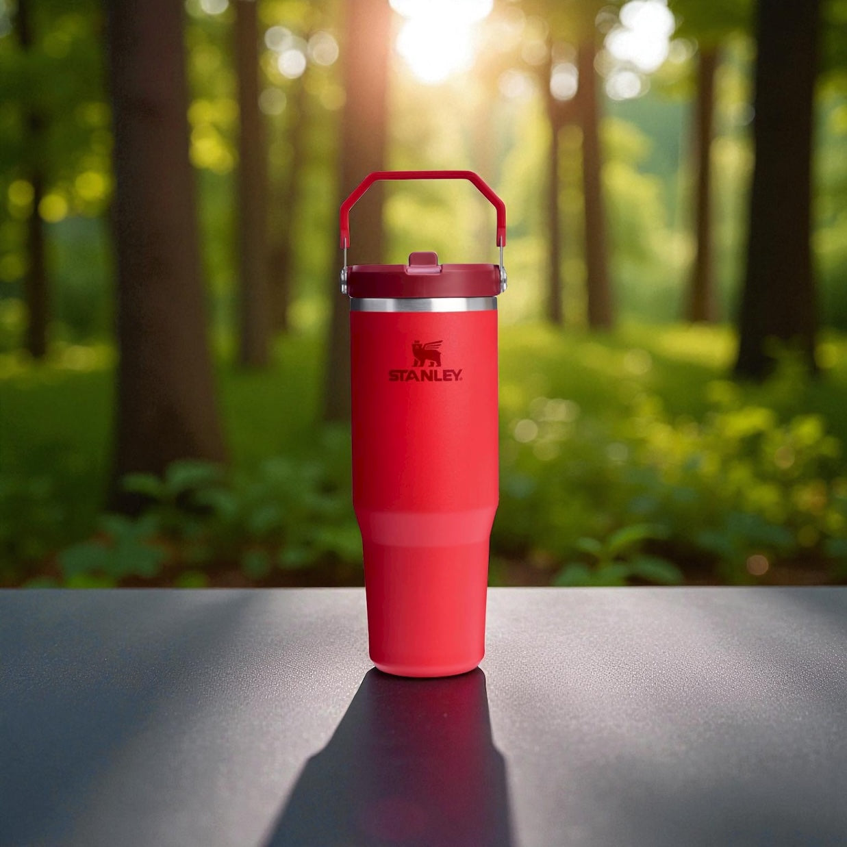 Stanley 30oz Tumbler with Handle – Stainless Steel Insulated Travel Cup.